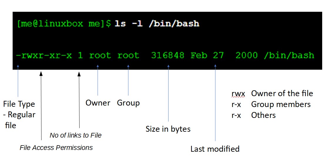 File Permissions