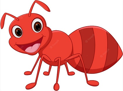 ant