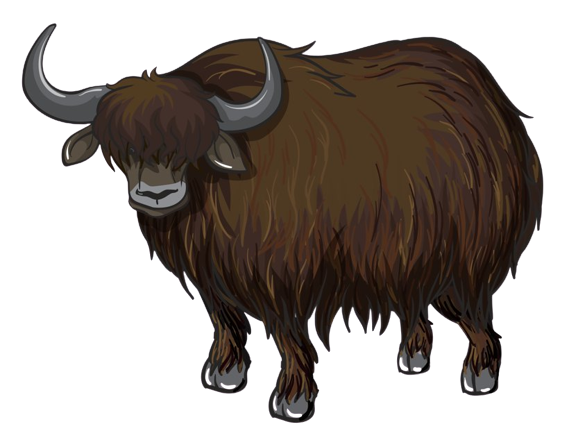 yak