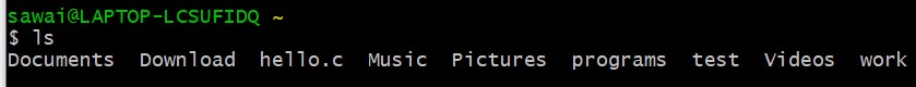 ls command